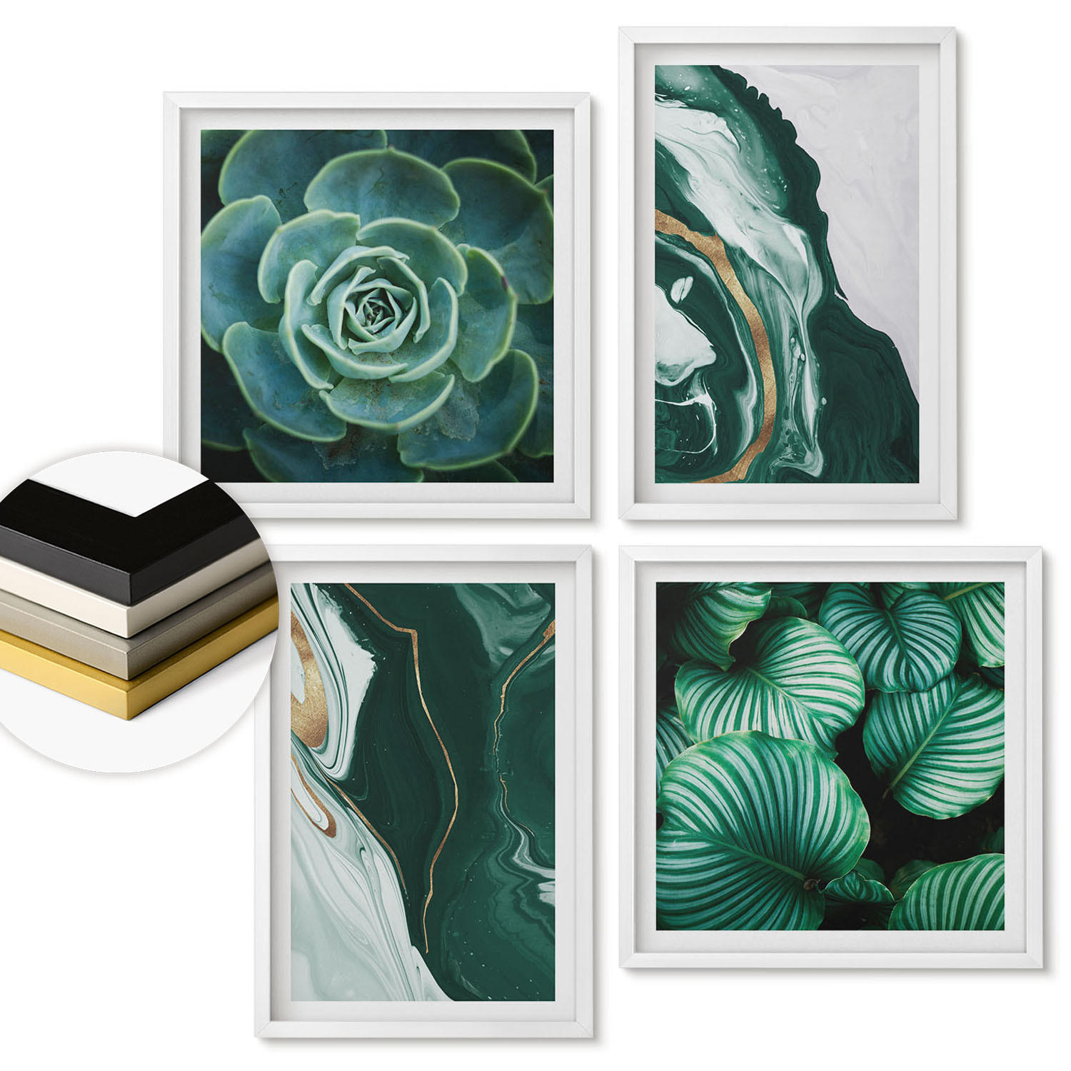 WANDBILDER 4er-Set - 50x50 cm & 40x60 cm Weißer Rahmen - Abstrakte Muster von Sukkulentenblättern - Weiß, Kunststoff (50/50cm) - ArtPrintCave