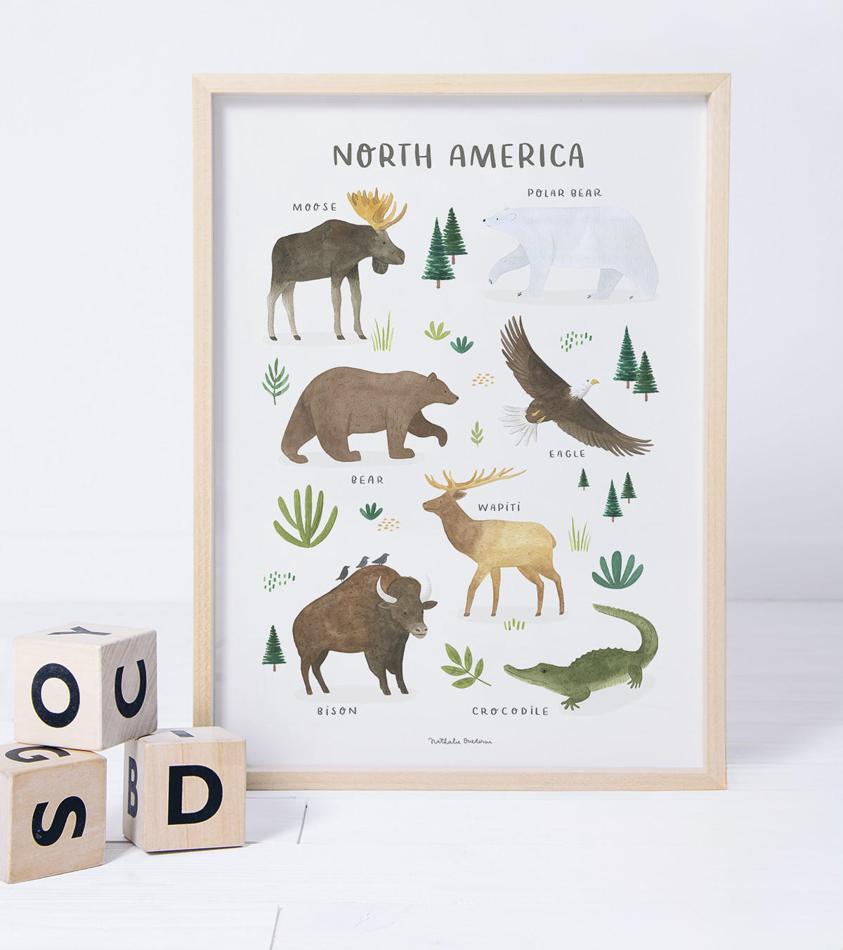 POSTER Tiere aus Nordamerika, 30x40 cm - Multicolor, Papier (30/1/40cm) - Lilipinso