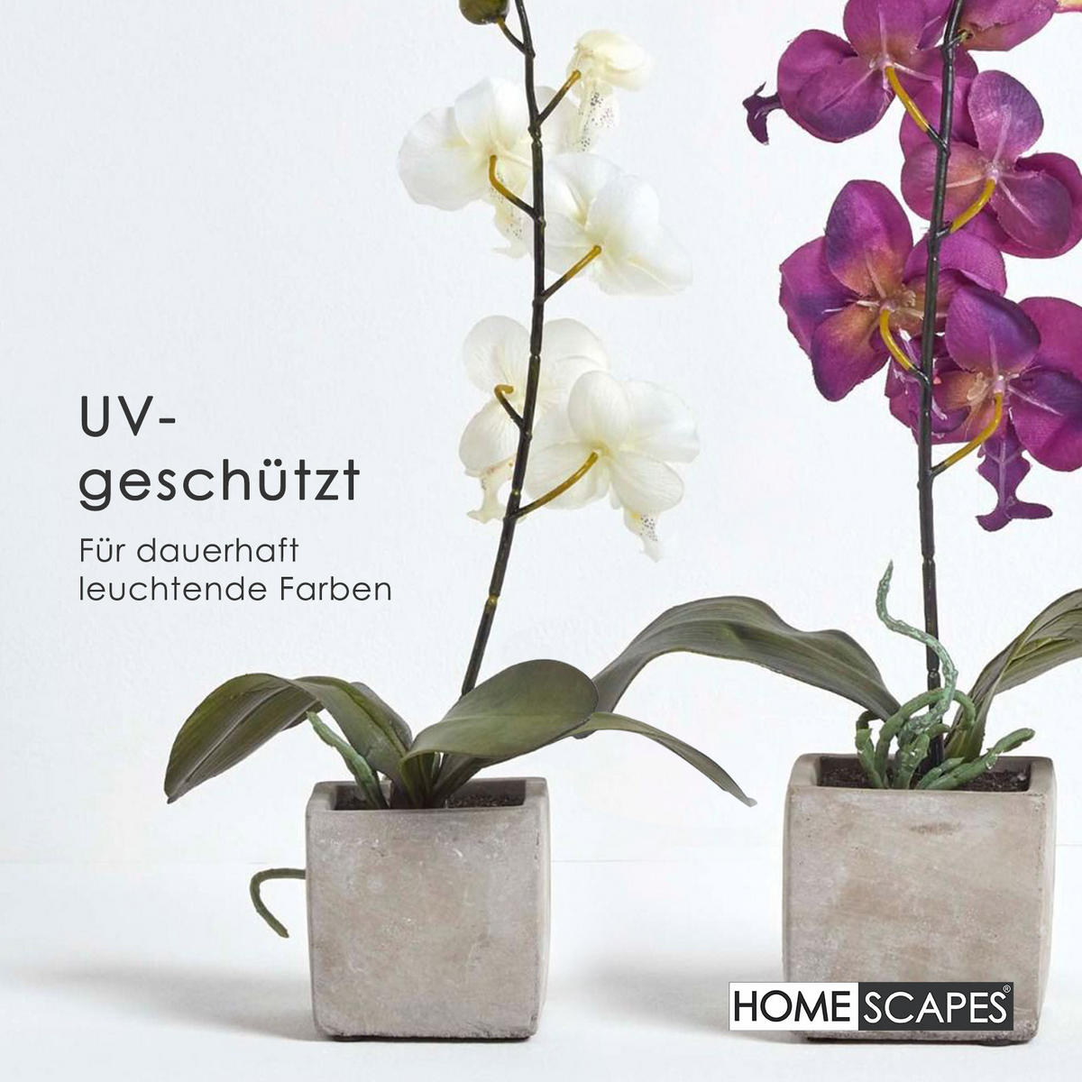 KUNSTBLUMEN 2er-Set Orchideen weiß & lila im Deko-Topf, 40 cm - Multicolor, Kunststoff (40cm) - Homescapes