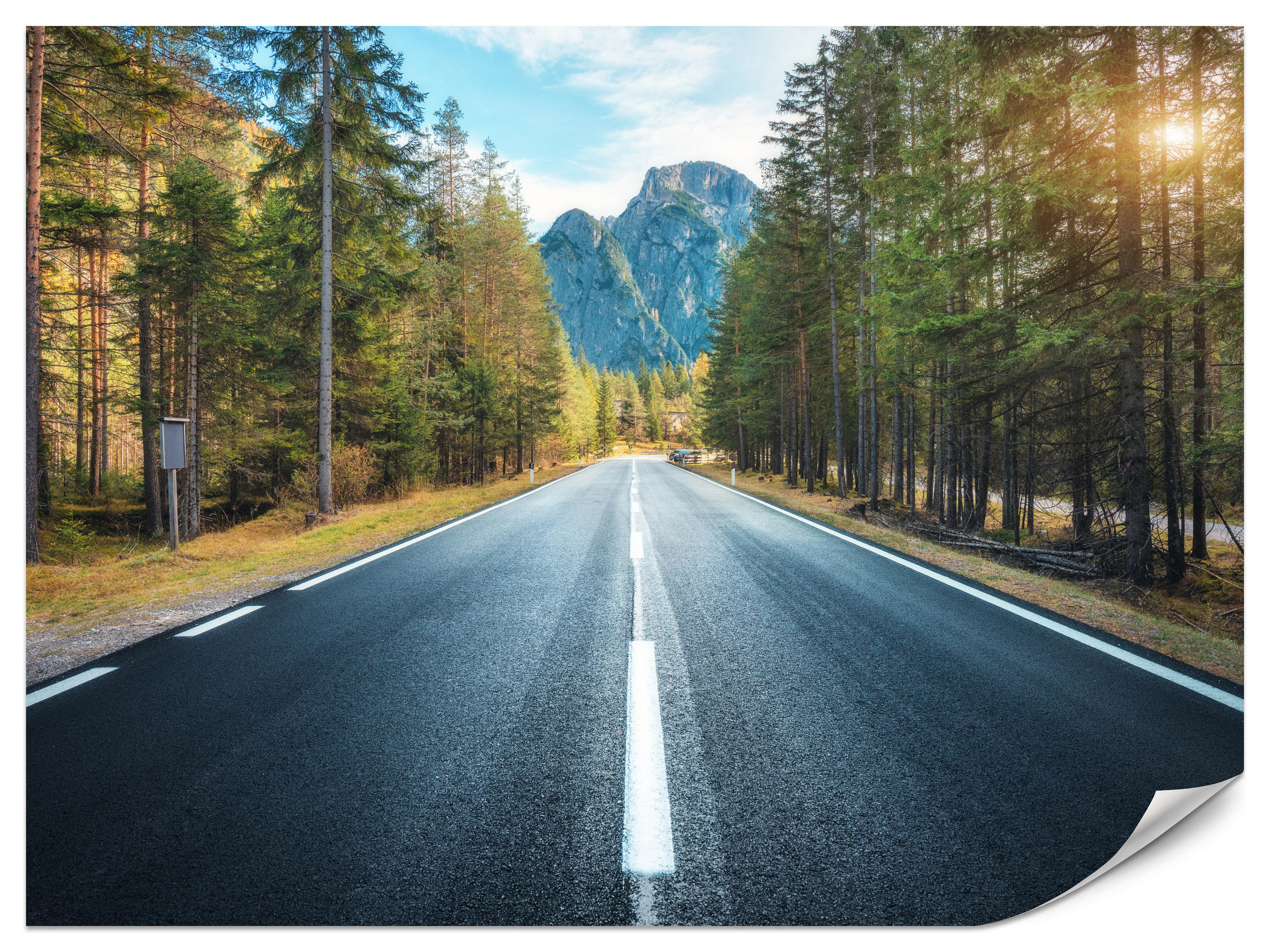 FOTOTAPETE für Wohnzimmer Asphaltstraße Bergwald Bäume Pflanzen 100x70 - Gelb/Schwarz, Papier (100/70cm) - Muralo