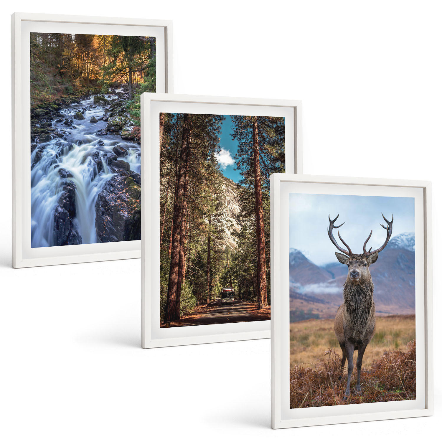 BILDER SET 3er Set - 40x60 cm Weißer Rahmen - Wasserfall Wald Berge Hirsch Natur - Weiß, Kunststoff (40/60cm) - TULUP