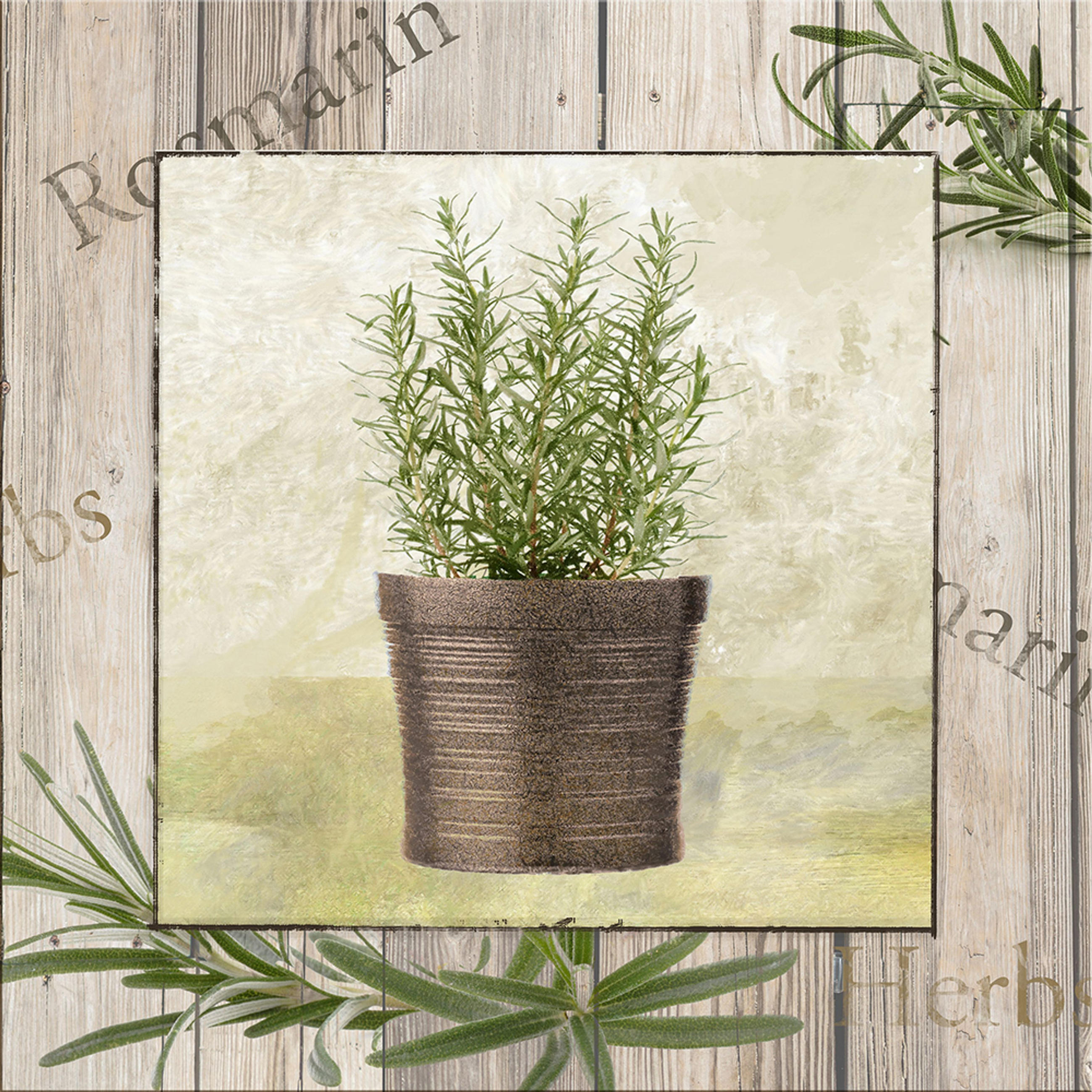 BILD 30x30 cm Küche Kräuter Rosmarin - Beige, Holzwerkstoff (30/30/2cm) - artissimo
