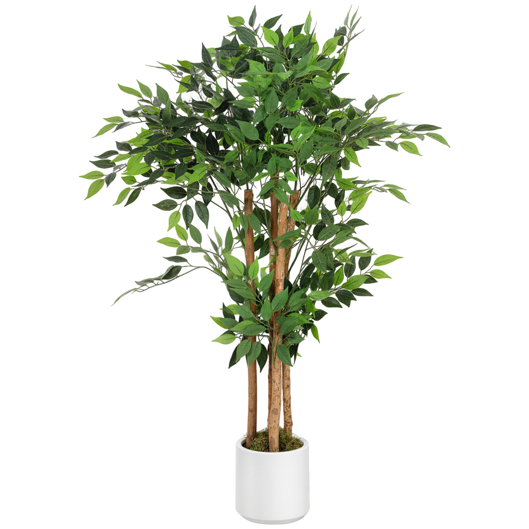 KÜNSTLICHE Pflanzen Grün 55.0/55.0/120.0cm - Grün, Kunststoff (120cm)