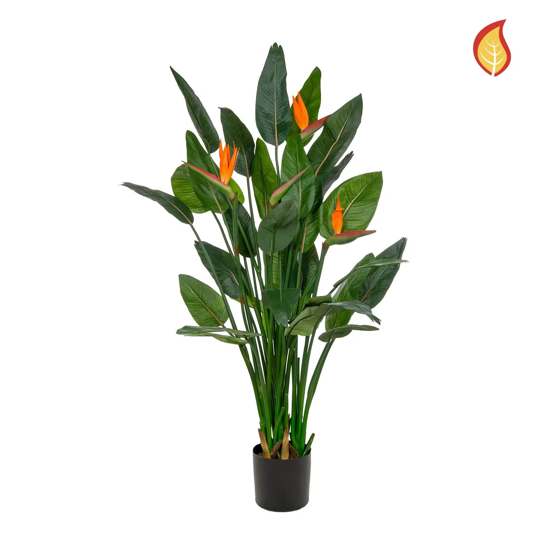 KUNSTPFLANZE Künstliche Strelitzia - Georg 150 cm - Grün, Kunststoff (150cm) - aplanta