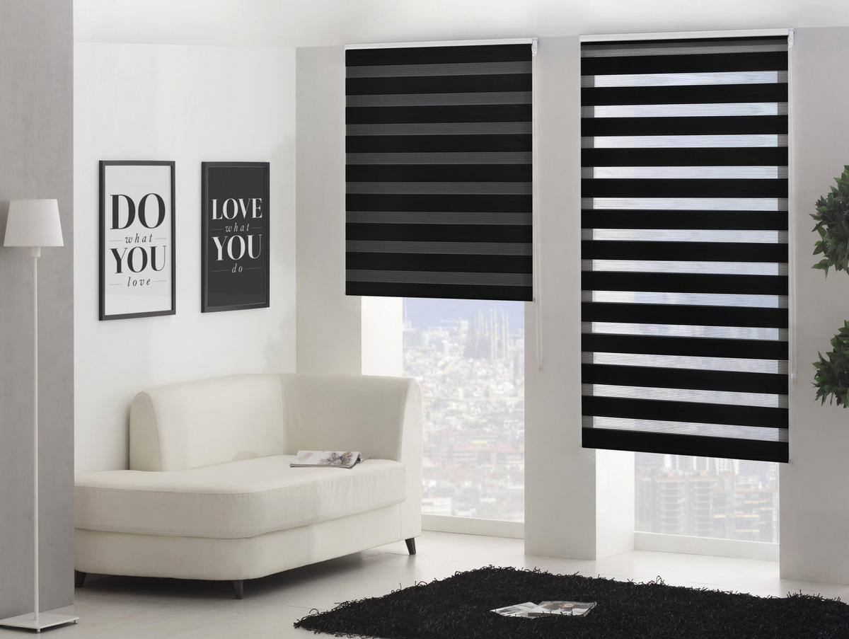 ROLLO Polyester Transluzent Schwarz 100x250 - Schwarz, Textil (100/250/1cm) - Purline
