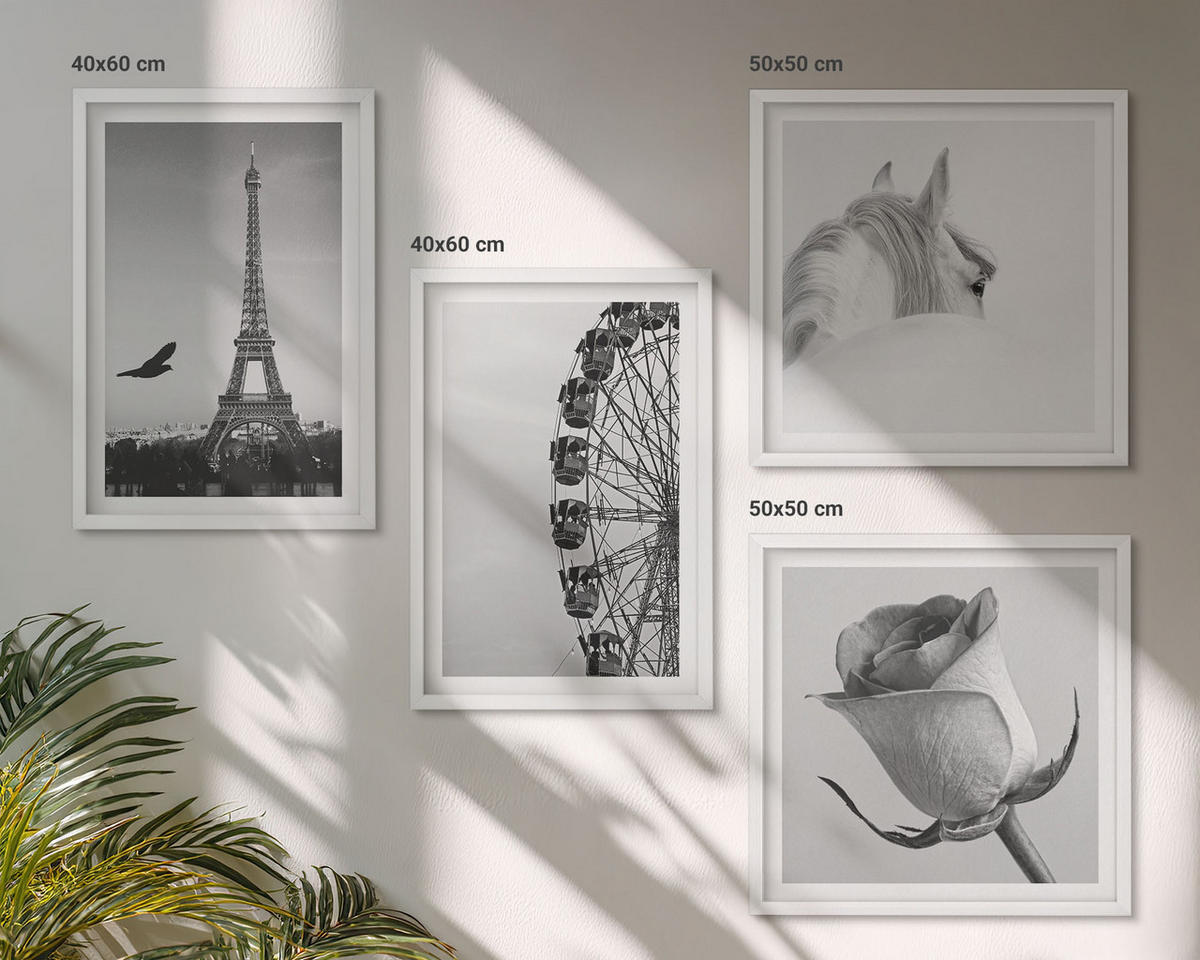 WANDBILDER 4er-Set - 50x50 cm & 40x60 cm Weißer Rahmen - Rose Eiffelturm Pferd Riesenrad S/W - Weiß, Kunststoff (50/50cm) - ArtPrintCave