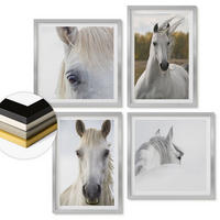 WANDBILDER 4er Set - 50x50 cm & 40x60 cm Silberner Rahmen - Weiße Pferde - Silberfarben, Kunststoff (50/50cm) - ArtPrintCave