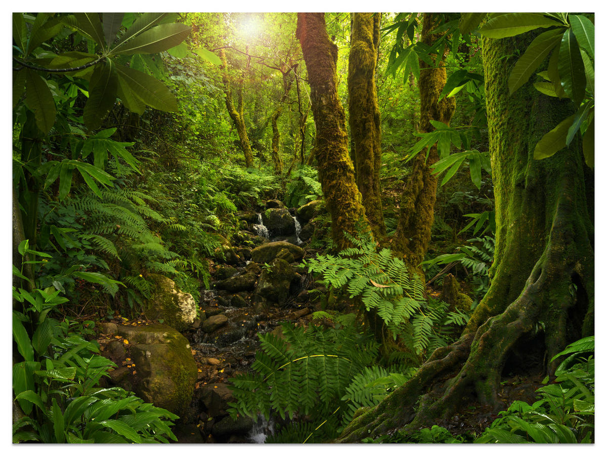 FOTOTAPETE für Wohnzimmer Wilder Dschungel Exotische Bäume Blätter 450x315 - Gelb/Braun, Papier (450/315cm) - Muralo