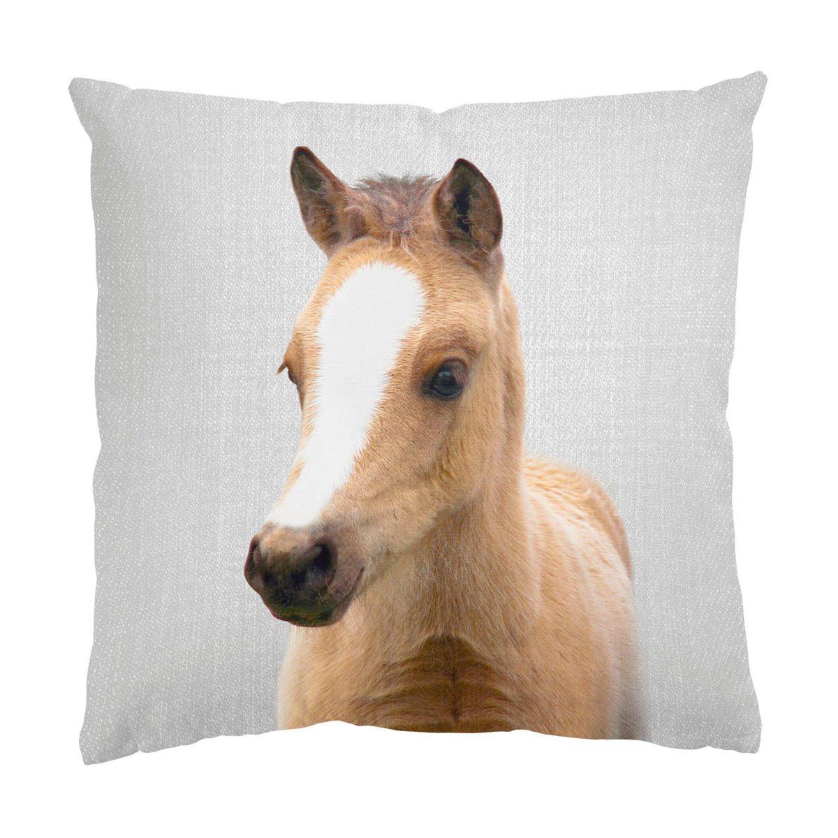 KISSENBEZUG Baby Pferd Philipp 50/50 cm - Schwarz, Textil (50/50cm) - Bilderwelten