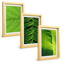 BILDER SET 3er Set - 20x30 cm Goldrahmen - Makrofotografie von tropischen Blättern - Goldfarben, Kunststoff (20/30cm) - TULUP