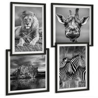 BILDER SET 4er Set - 50x50 cm & 40x60 cm Schwarzer Rahmen - Wildtiere Löwe Jaguar Giraffe Zebras - Schwarz, Kunststoff (50/50cm) - TULUP