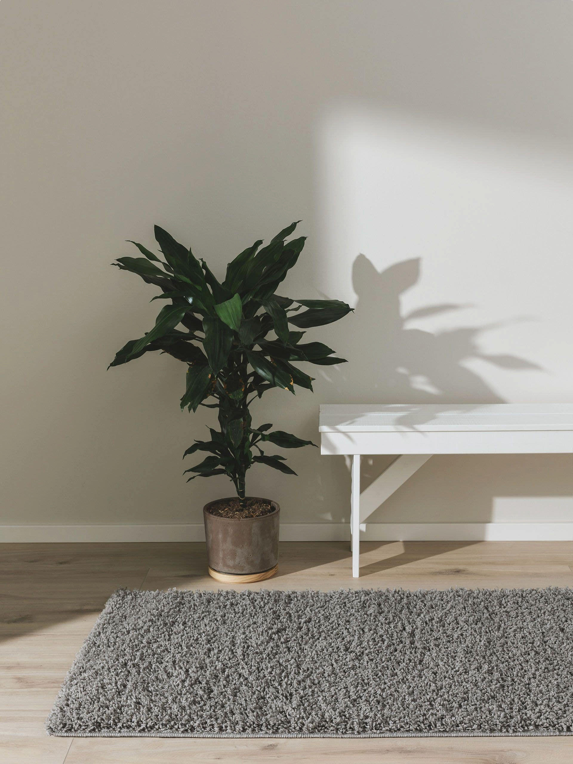 HOCHFLORTEPPICH Soho Hellgrau 80x250 cm - Hellgrau, Kunststoff (80/250cm) - benuta