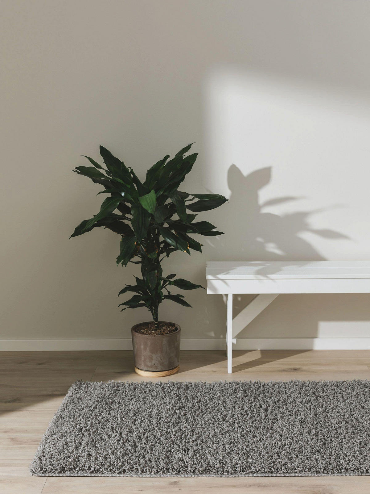 HOCHFLORTEPPICH Soho Hellgrau 60x120 cm - Hellgrau, Kunststoff (60/120cm) - benuta