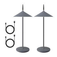 TISCHLEUCHTE Funkelich 15.4/11.5/37.6 cm（2er-set） - Dunkelgrau, Kunststoff/Metall (15.4/11.5/37.6cm) - ZMH