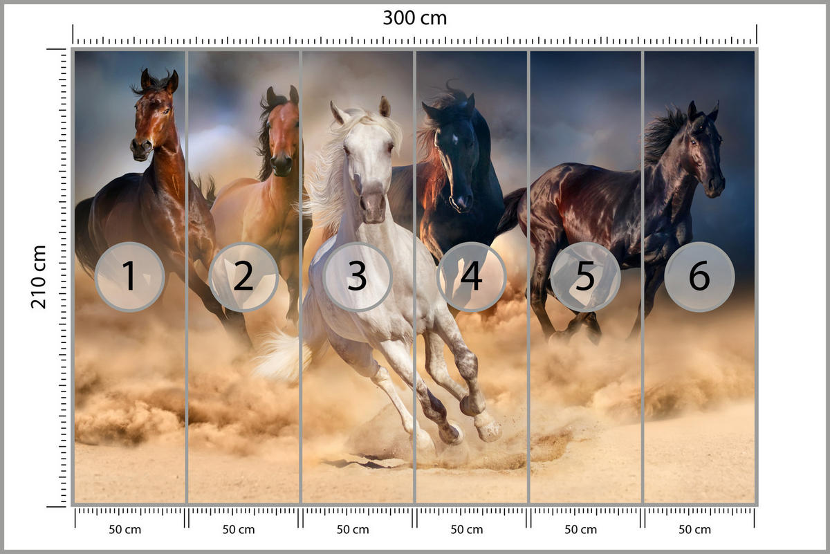FOTOTAPETE für Schlafzimmer Galoppierende Pferde Wüste Herde 300x210 - Beige/Orange, Papier (300/210cm) - Muralo