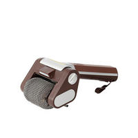 GRILLBÜRSTE Elektrische & Edelstahl Braun, Braun - Dunkelbraun, Kunststoff (12cm) - Authentics