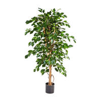 FICUS Künstlicher Gummibaum - Kristin 210 cm - Grün, Kunststoff (210cm) - aplanta