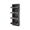 SCHUHSCHRANK schmal Metall mit Magnet 4 Klappen Schwarz - Schwarz, Metall (50/137/15cm) - Gowoll