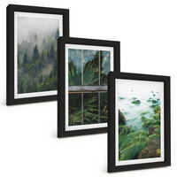 BILDER SET 3er Set - 20x30 cm Schwarzer Rahmen - Waldnebel, Flussufer, Gewächshaus - Schwarz, Kunststoff (20/30cm) - TULUP
