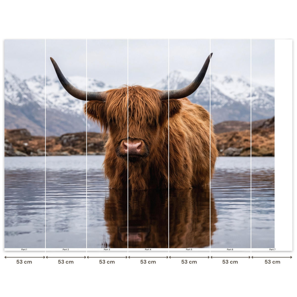 TAPETE - Schottischer Hochländer - Braun - Wasser - 350x300 cm - Braun, Papier (350/300cm) - OnlyWow