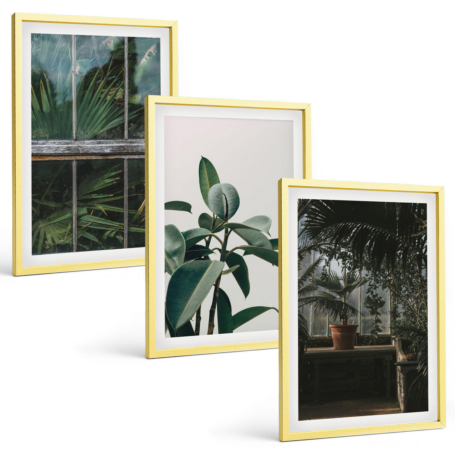 BILDER SET 3er Set - 40x60 cm Goldrahmen - Grüne Blätter an der Fensterpflanze - Goldfarben, Kunststoff (40/60cm) - TULUP