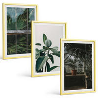 BILDER SET 3er Set - 40x60 cm Goldrahmen - Grüne Blätter an der Fensterpflanze - Goldfarben, Kunststoff (40/60cm) - TULUP