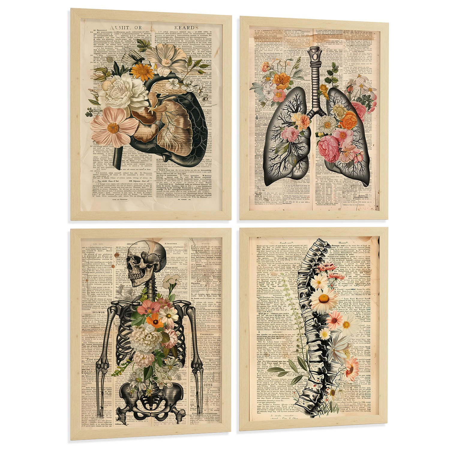 POSTER Set aus 4 Anatomie Drucke und Wandbilder mit Leber Lungen Atmungssystem Skelett Schädel Wirbelsäule Vintage Zeitungsstil Größe Rahmenlos A4 - Klar, Papier (21/29.7/3cm) - Nacnic