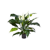 KUNSTBAUM Künstliche Spathiphyllum - Big-Luna 73 cm - Grün, Kunststoff (73cm) - aplanta