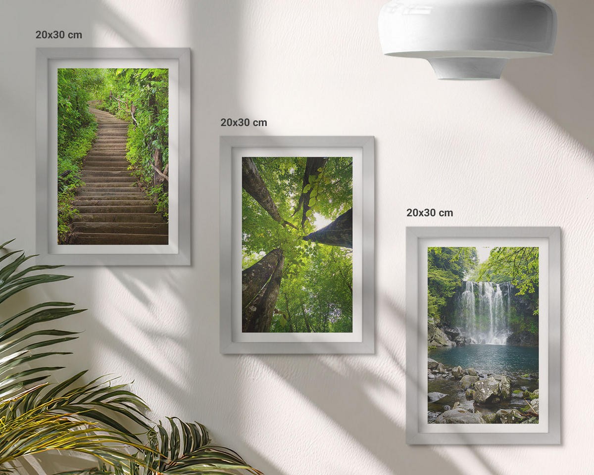 WANDBILDER 3er Set - 20x30 cm Silberner Rahmen - Pfad Wald Wasserfall Vegetation - Silberfarben, Kunststoff (20/30cm) - ArtPrintCave