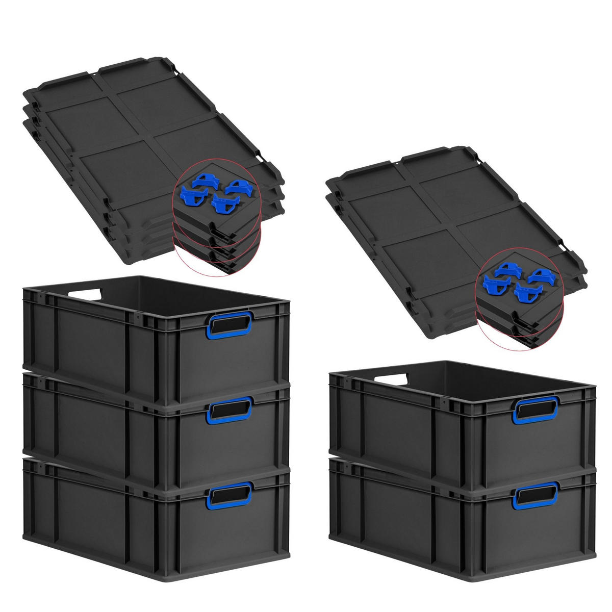 EUROBOX 5x NextGen Color mit Auflagedeckel 22x40x60 cm 44 Liter Schwarz Griffe blau offen - Blau/Schwarz, Kunststoff (40/22/60cm) - PROREGAL