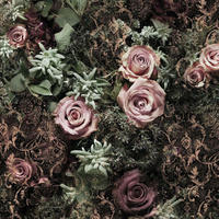 FOTOTAPETE Blumen 368 x 254 cm - Pink, Papier (368/254cm) - Sanders & Sanders