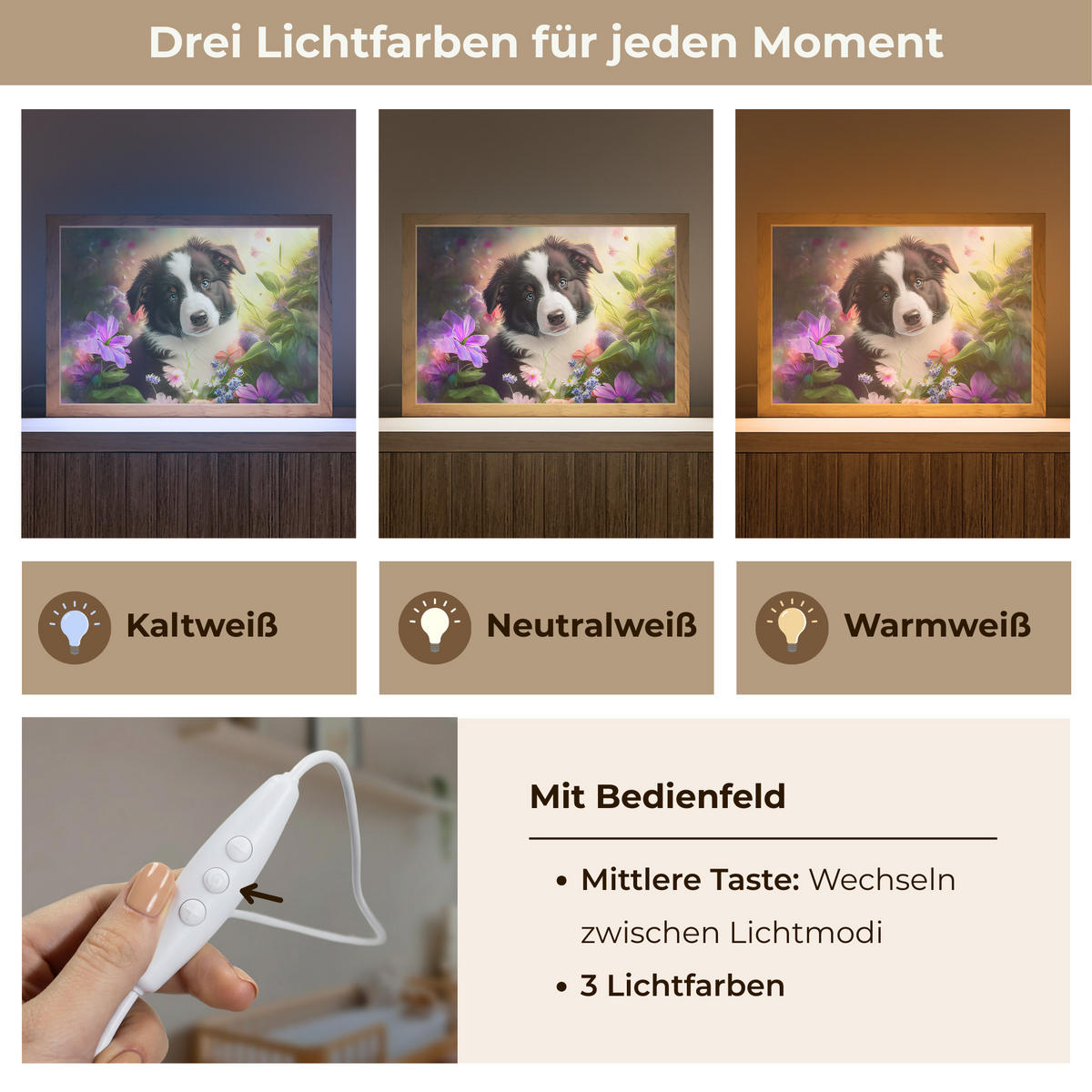 NACHTTISCHLAMPE Welpe - Sonne - Blumen - Natur - Border Collie - Hund 30x20 cm - Violett, Holzwerkstoff (8/30/20cm)