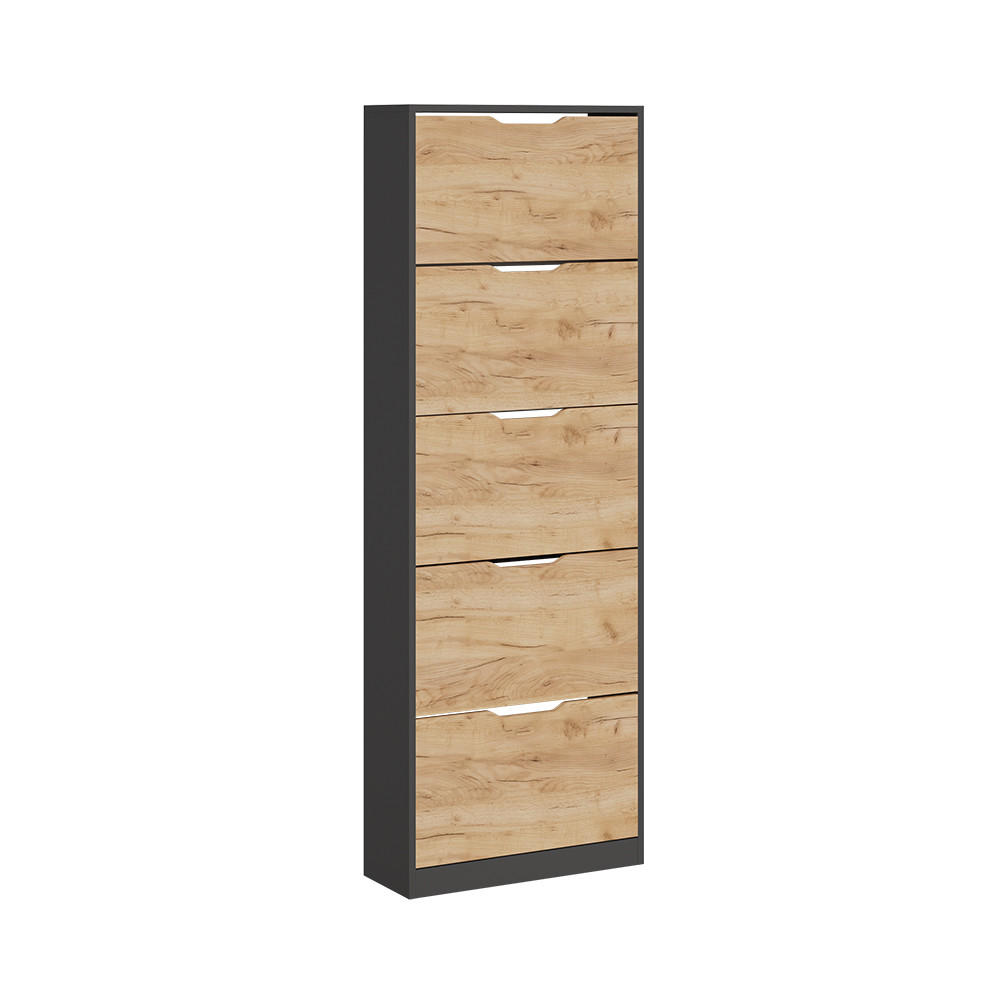 SCHUHKIPPER Luca Anthrazit/Goldkraft Eiche 22 x 169 cm mit 5 Fächern - Anthrazit, Holzwerkstoff (59/169/22cm) - Vicco