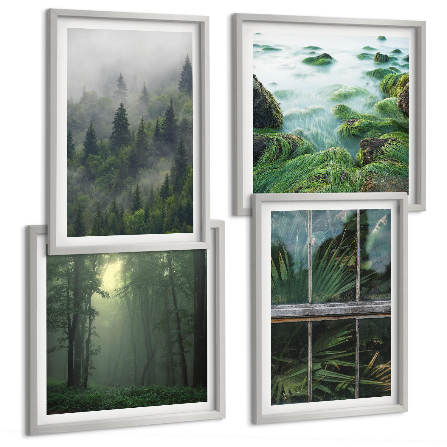 BILDER SET 4er Set - 50x50 cm & 40x60 cm Silberner Rahmen - Waldnebel, Fluss, Gewächshauspflanzen - Silberfarben, Kunststoff (50/50cm) - TULUP