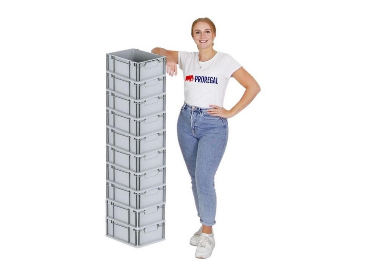EUROBOX Nextgen Economy Griffe Geschlossen 17x30x40cm 16 Liter - Grau, Kunststoff (30/17/40cm) - PROREGAL