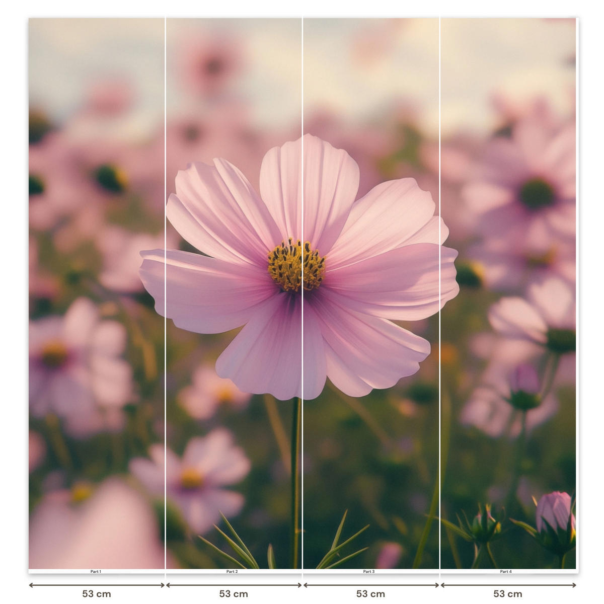 TAPETE - Blumen - Lila - Unscharf - 200x200 cm - Rosa, Papier (200/200cm) - OnlyWow