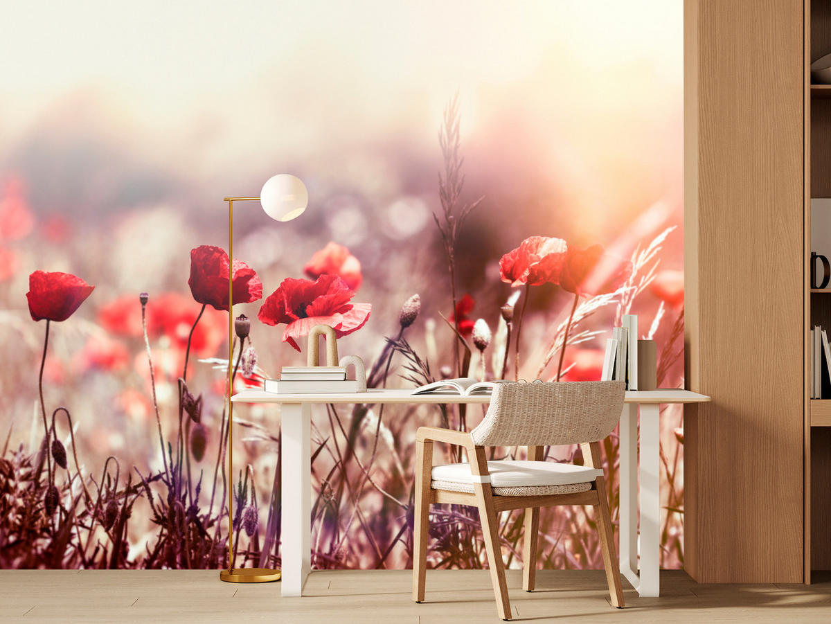 FOTOTAPETA Pre Jedáleň Poľné Kvety Červená Maková Lúka Slnko 500 x 350 cm - oranžová/hnedá, papier (500/350cm) - Muralo