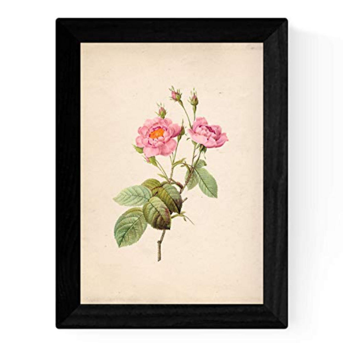POSTER Set mit 4 Botanischen Stils Rosa weich Papier Hintergrund A4 Rahmenlos - Klar, Papier (29.7/3cm) - Nacnic
