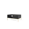 COUCHTISCH NOVA - L104, goldenen Akzenten, 104x68x46 cm Schwarz - Goldfarben/Schwarz, Holzwerkstoff/Kunststoff (68/104/46cm) - DomoHome