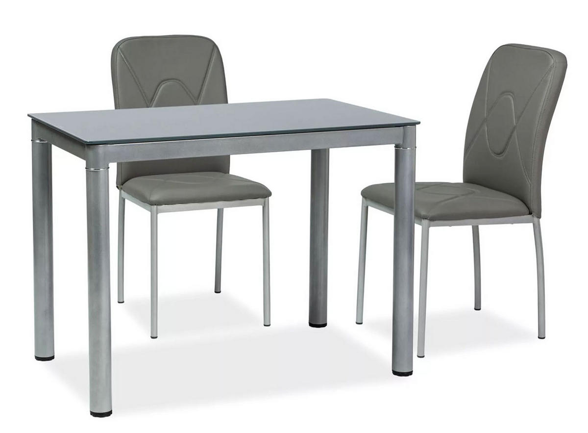 ESSTISCH Galant grau 100 / 60 / 75cm - Grau, Glas/Holz (60/100/75cm) - Feldmann-Wohnen