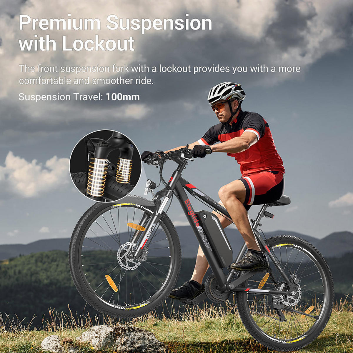 E-BIKE Eleglide Mopride 2 – langlebig, kraftvoll, komfortabel mit 150 km Reichweite - Graphitfarben, Metall (75cm)