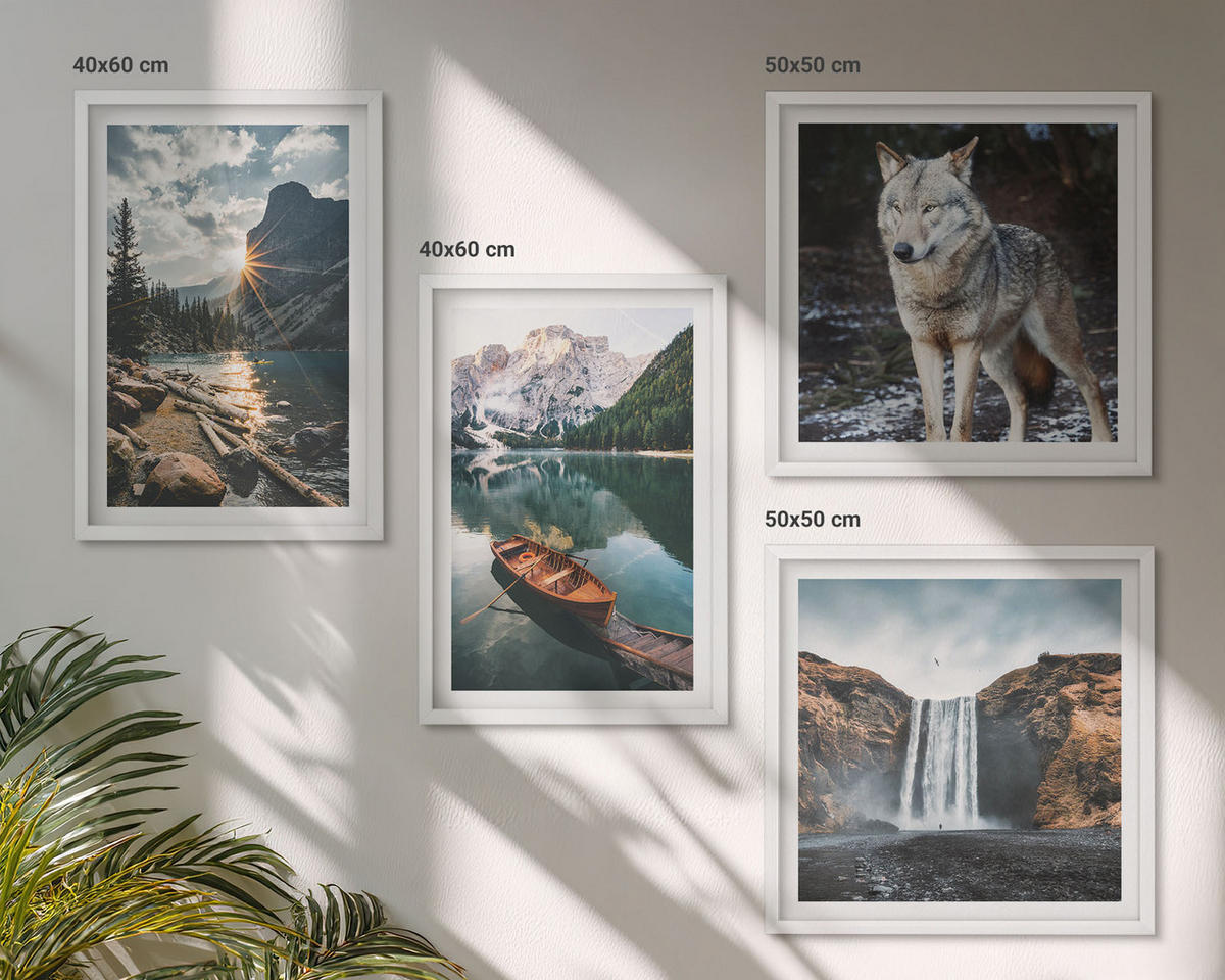 WANDBILDER 4er-Set - 50x50 cm & 40x60 cm Weißer Rahmen - Berge, Seen, Wasserfall, Wolf - Weiß, Kunststoff (50/50cm) - ArtPrintCave