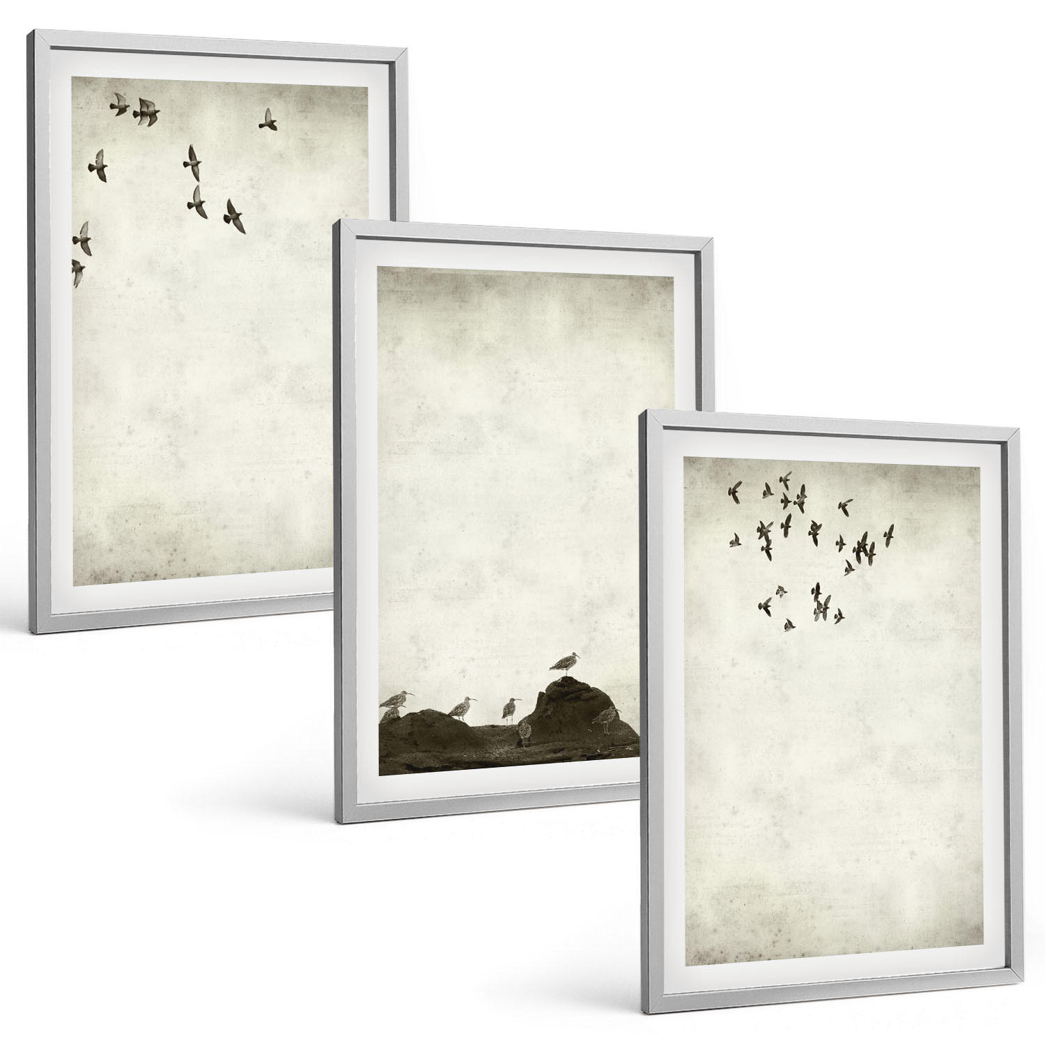 BILDER SET 3er Set - 40x60 cm Silberner Rahmen - Fliegende Vögel Minimalismus - Silberfarben, Kunststoff (40/60cm) - TULUP