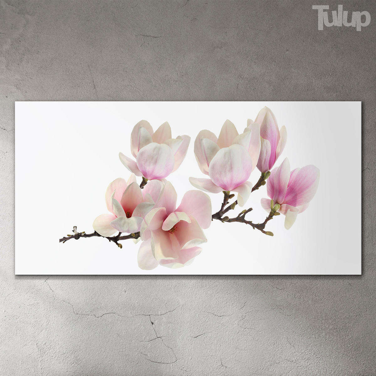 GLASBILD 120x60 cm Magnolienblüte - Rosa, Glas (120/60cm) - TULUP