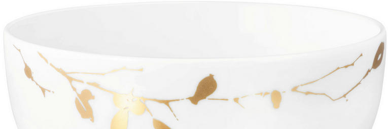 Seltmann Weiden Liberty Golden Rose Hip