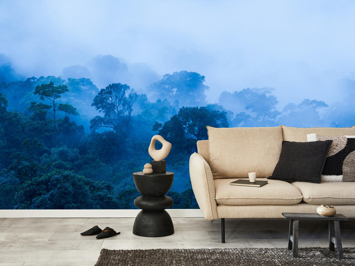 FOTOTAPETE für Wohnzimmer Tropischer Laubwald Nebel Dschungel 350x256 - Schwarz, Papier (350/256cm) - Muralo