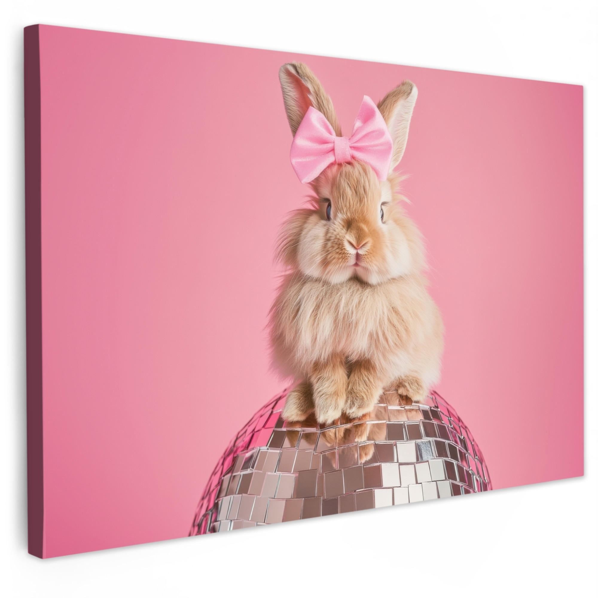 MuchoWow OBRAZ NA PLÁTNĚ Luk - Discoball - Králík 60x40 cm