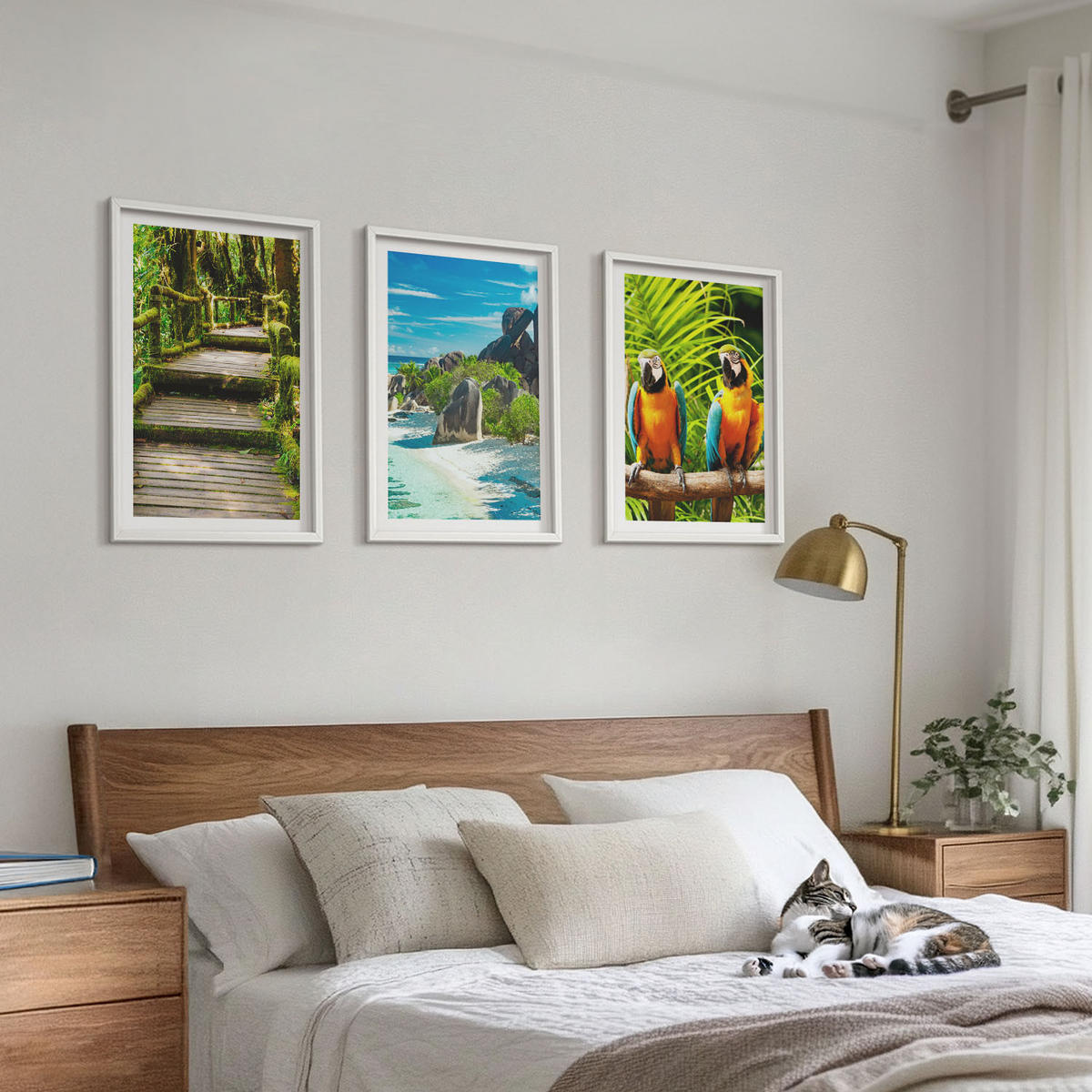 WANDBILDER 3er-Set - 40x60 cm Weißer Rahmen - Tropischer Wald Papageienwasserfall - Weiß, Kunststoff (40/60cm) - ArtPrintCave