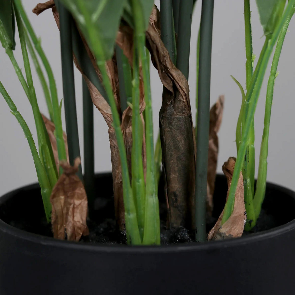 KUNSTPFLANZE Künstliches Spathiphyllum - Abel 55 cm - Grün, Kunststoff (55cm) - aplanta