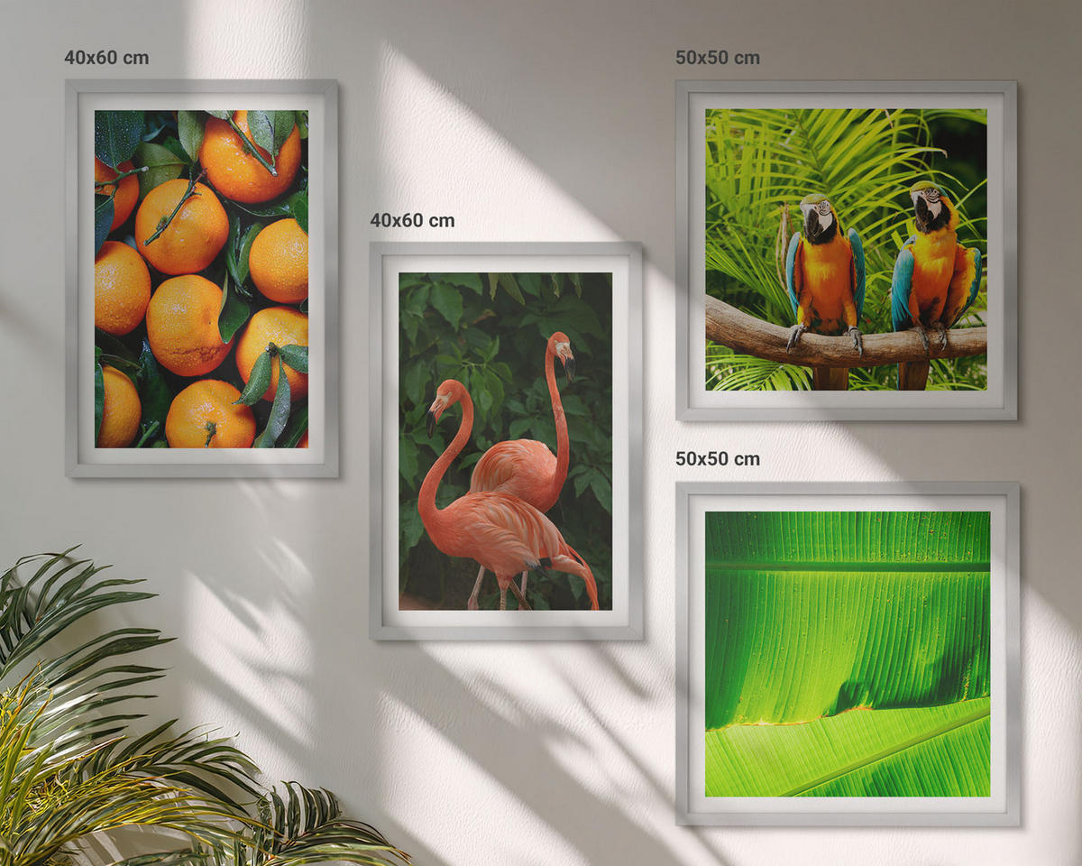 WANDBILDER 4er Set - 50x50 cm & 40x60 cm Silberner Rahmen - Fruchtige Akzente der Tropen - Silberfarben, Kunststoff (50/50cm) - ArtPrintCave